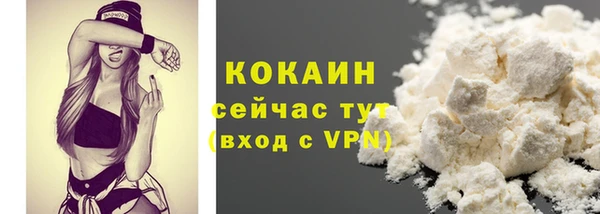 дживик Белокуриха