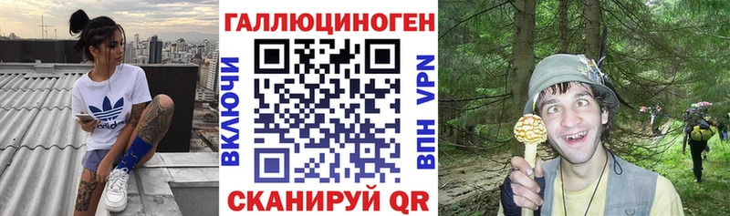 Купить где  Курильск  Галлюциногенные грибы Psilocybine cubensis 